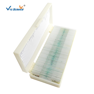 Portaobjetos de Microscopio de Vidrio para Material Didáctico Escolar, 5 Tipos de Portaobjetos Biológicos Preparados para Microscopio, Juego de Plantas y Animales - Product Image 6