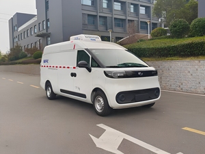 Fourgonnette Réfrigérée Électrique SAIC Maxus Pure Electric Mini 51 kWh Automatique EV -20°C ℃   Véhicule de livraison de produits de la mer et de viande congelée - Product Image 1