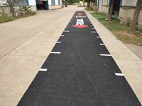 Césped Artificial Personalizado con Logotipo para Gimnasio, Pista de Fitness Verde, Roja, Negra, Blanca, Césped Artificial Astro Turf