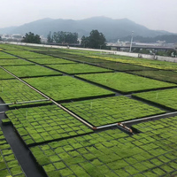 Matériau plastique écologique Sedum Green Roof Modular Tray System conteneur combiné de stockage et de drainage
