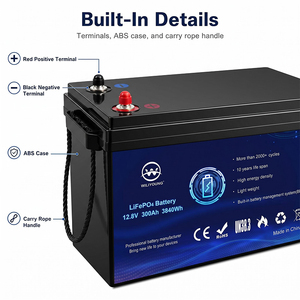 Paket Baterai Lithium Iron Phosphate (LFP) 12.8V Buatan Khusus dengan Spesifikasi Fleksibel untuk Kipas Listrik dan Terminal POS - Product Image 6