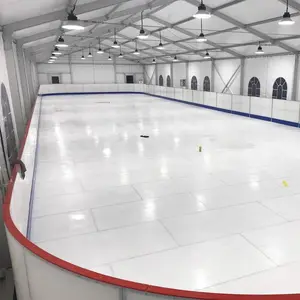 Penjualan Terbaik sintetis es rask tanpa es UHMWPE arena Skating es rask panels1 * 2m