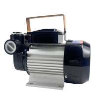 Pompa Bahan Bakar Listrik Self-Priming 550W 110V 220V AC Portabel Pompa Transfer Oli Aliran Besar Ekstraktor Diesel Tugas Berat