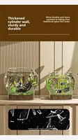 Meilleures ventes : Conteneur de rangement transparent en PET avec base, incassable, organisateur domestique