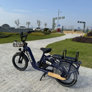 Vélo cargo électrique léger 48V double 15AH, autonomie 120KM, moteur arrière sans balais 750W en alliage d'aluminium, 7 vitesses, vélo de ville - Product Image 3