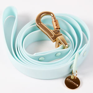 Laisse pour <span class=keywords><strong>chien</strong></span> en PVC, haute qualité, vente en gros, 15mm, 20mm, 25mm, sangle enduite de TPU imperméable - Product Image 4