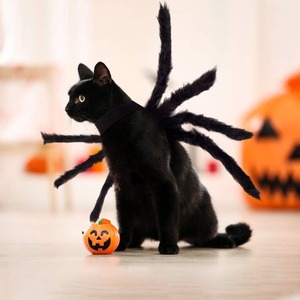 Kostum Laba-laba Halloween 100CM untuk Anjing Kucing Kostum Hewan Peliharaan Halloween Dekorasi Halloween Dekorasi Laba-laba Perlengkapan Pesta Halloween - Product Image 2