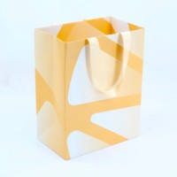 Sacs cadeaux de luxe en papier blanc recyclable de marque de boutique, avec logo en feuille d'or, poignée longue, pour vêtements, chaussures, chaussettes, chapeaux