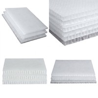 Panneau alvéolaire en polypropylène personnalisé OEM, panneau en plastique cellulaire léger pour les acheteurs de cloisons modulaires