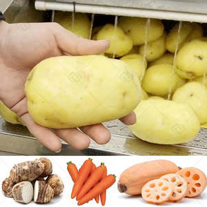 Elektrische Gewerbliche Industrielle Wurzelgemüse-Karotten-Süßkartoffel-Reinigungsmaschine Obst- und Gemüsewasch- und Schälmaschine - Product Image 3