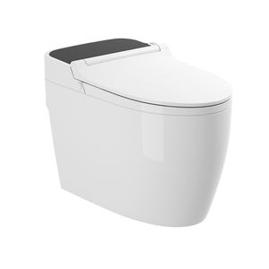 <span class=keywords><strong>Toilette</strong></span> ordinaire, siphonique, non branchée, domestique, mécanique, à pression latérale, chasse d'eau au pied, pompage d'eau, nettoyage à l'eau froide - Product Image 1