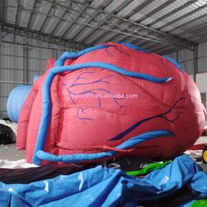 Надувная модель органа человеческого сердца под заказ надувная медицинская сердце надувная 3d модель сердца для медицинских выставок - Product Image 2