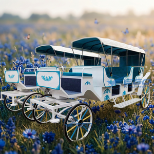 Carruaje Turístico Vintage de Cuatro Ruedas con Techo de Lona, Impreso con Turquesa Blanca, Impulsado por Caballos, Sin Motor, para Recorridos Panorámicos - Product Image 1