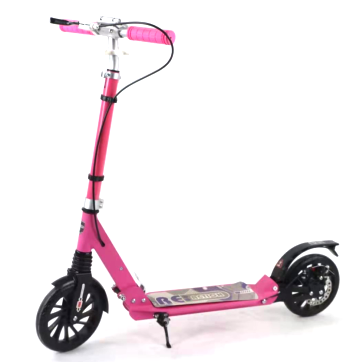 กุหลาบสีชมพู