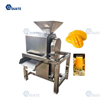 Kleinschalige Tamarinde Mango Zaad Verwijderen Tomaat Aardbei Pastap Maken Extractie Fruitpulp Machine