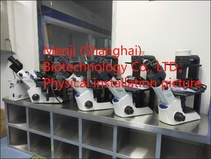 현미경 FLPH 형광 관찰 OL CKX53 - Product Image 2