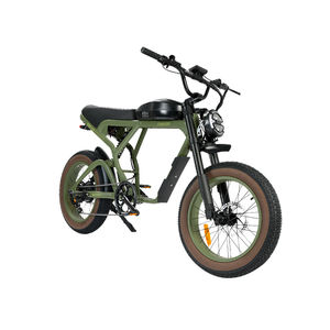 中国工厂供应复古电动自行车20英寸胖轮胎电动自行车1200w强力电机电动自行车山地ebike - Product Image 2