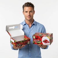 Boîte d'emballage pour litchis sur mesure en gros, boîte en carton ondulé rigide, taille personnalisée pour un emballage de litchis de haute qualité