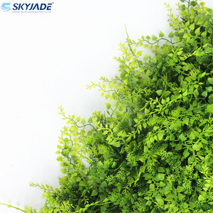 AMZ Panel de Pared de Césped Artificial de Madera de Boj, Hoja de Plástico Skyjade al Mejor <span class=keywords><strong>Precio</strong></span> para Decoración de Jardín, Pared de Cobertura, Aplicación - Product Image 2