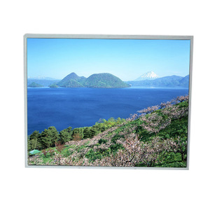 Écran LCD LM190E08-TLL4 pas cher et excellent, 19,0 pouces, 1280*1024 - Product Image 1