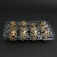 12 trous oeufs de caille plateau d'emballage boîte emballage pour oeufs de caille en plastique blister plateau d'oeufs de caille