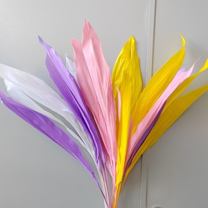 Decoración <span class=keywords><strong>de</strong></span> boda para el hogar Flores secas Blanqueadas Blanco Eterno Conservado Orquídea Manojo <span class=keywords><strong>de</strong></span> <span class=keywords><strong>hojas</strong></span> <span class=keywords><strong>de</strong></span> <span class=keywords><strong>Magnolia</strong></span> secas - Product Image 1