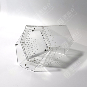 Jumping Spider Enclosure Box Spider Habitat Box <strong>Acrylic</strong> Insects Feeding <strong>Case</strong> - Product Image 5