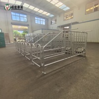 Fabricant de boxes de gestation pour truies, vente directe usine, équipement d'élevage porcin en acier galvanisé, vente en gros, export