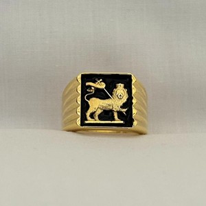 ユダのライオンリング 316Lステンレススチール PVD 18Kゴールドメッキジュエリー 繊細なライオン騎士印台リング - Product Image 6