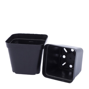 Gardening supplies succulent small black square Pot Black flowerpot plastic succulent small black square flowerpot factory