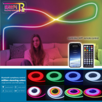 TRX 0817 Bande lumineuse LED néon flexible en silicone RVB pleine couleur étanche IP67 CRI 1060 Garantie 3 ans pour contrôle par application