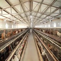 Nave Avícola Moderna con Estructura de Acero, Estructura de Acero Ligero para Granjas Avícolas
