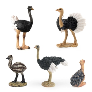 Jouets cognitifs pour enfants, modèles d'animaux en PVC, poussins d'autruche africains et australiens, décorations d'élevage avicole - Product Image 5