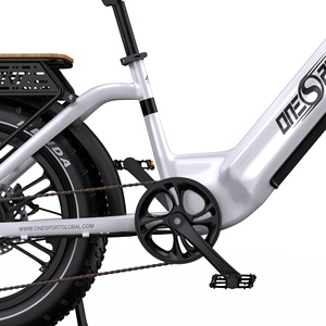Bicicleta Eléctrica de Diseño Bajo con Cuadro Ancho para Hombres y Mujeres, Neumáticos Anchos KENDA, Frenos de Disco Dobles, Llanta Trasera, Gran Autonomía, 48V - Product Image 5
