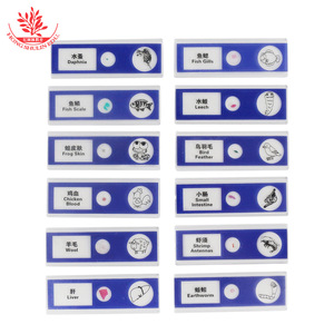 Plastic biological specimen slides, educational science toys, animal slides (12-piece pack), <b>microscope</b> slide accessories, - Product Image 3