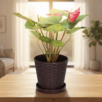 Pot de fleurs cylindrique en résine imitation rotin avec soucoupe, design minimaliste pour plantes succulentes, herbes et bonsaïs, idéal pour l'intérieur et le balcon.