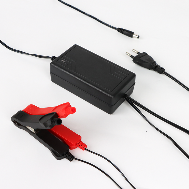 DC12V/AC220V Automatic Float Charger Smart Charger with Alligator Clips UPS Intelligent  Battery Charger