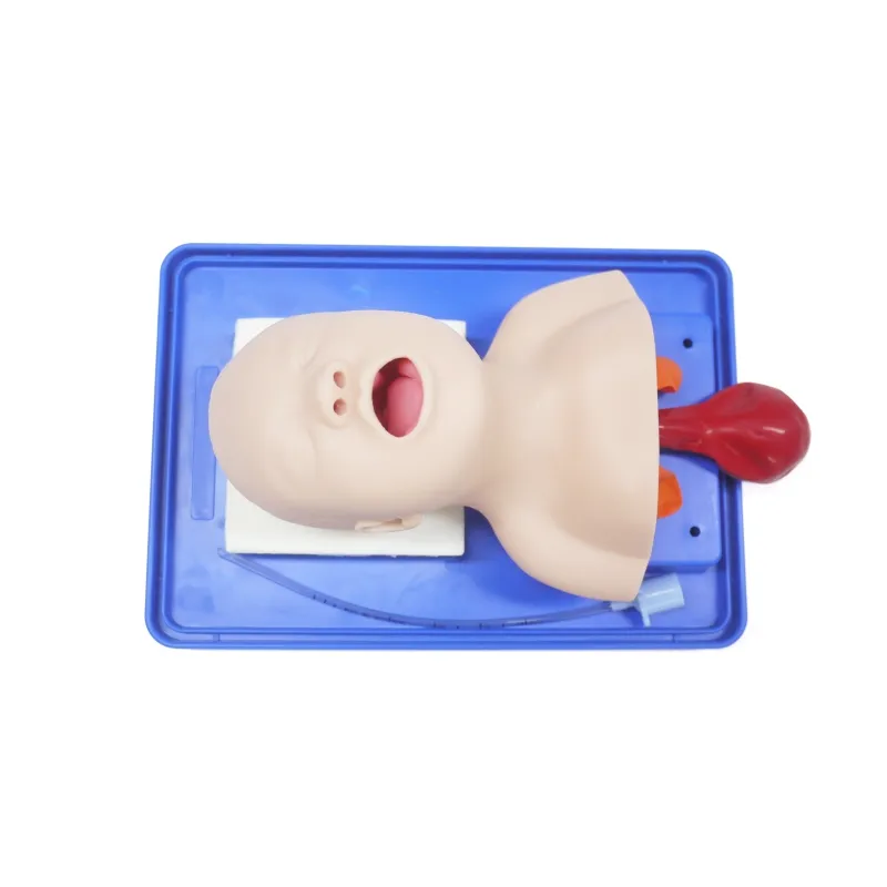 Neonatale Tracheale Intubatie Training Model, Pasgeboren Endotracheale Intubatie Oefenpop