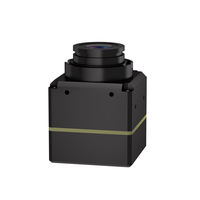 Módulo de cámara de imagen térmica infrarroja multicolor pseudo a color CVBS con matriz de planos focales sin refrigeración, compatible con alarma de temperatura anormal