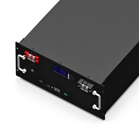 Armoire de stockage d'énergie sur rack 19 pouces personnalisée, boîtier en tôle ESS pour pack de batteries LiFePO4 51,2 V 100 Ah 200 Ah