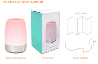 Lampes colorées pour la maison, lumière de nuit à réglage de couleur RGB, simulateur d'aube, réveil, commande tactile, rechargeable, lumière décorative pour la chambre d'enfant