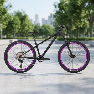 DFQ Gtr Dirt Jump Level Twitter Instapmodel Mountainbike Topkwaliteit, rechtstreeks van de fabriek, uitstekende prijs-kwaliteitverhouding. - Product Image 1