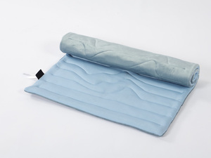 2025 Trending Rechthoek Cooling Pet Pad Custom Bulk Bestseller Voor Kleine Middelgrote Honden Zomer - Product Image 2