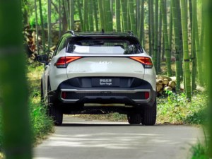 2025 pour <span class=keywords><strong>Kia</strong></span> <span class=keywords><strong>Sportage</strong></span> 2.0T 2WD édition phare SUV haute vitesse 5 portes 5 places essence véhicule intérieur sombre FWD caméra arrière Ne - Product Image 3