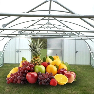 ¿Cuánto Cuesta <span class=keywords><strong>un</strong></span> Invernadero de Tomates por <span class=keywords><strong>Metro</strong></span> <span class=keywords><strong>Cuadrado</strong></span>? - Product Image 1