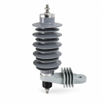 Parafoudre haute tension CA 12KV HY10WS avec isolation composite en caoutchouc silicone et protection contre la foudre à l'oxyde de zinc