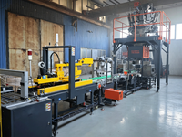 Machine d'emballage automatique Focuspack PLC pour alignement et remplissage de vis longues, pour emballage de quincaillerie et fixations dans des cartons en papier