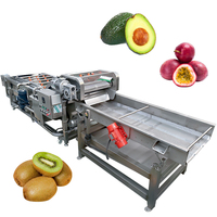 Industriële reinigingsmachine voor de verwerking van fruit en groenten, capaciteit 100-1000 kg voor groente- en fruitkiemen