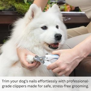 Coupe-ongles professionnel pour petits animaux, en acier inoxydable, tondeuse de toilettage pour chiens, avec protection de sécurité pour éviter les coupures, nettoyage facile, pour chats et chiens - Product Image 5