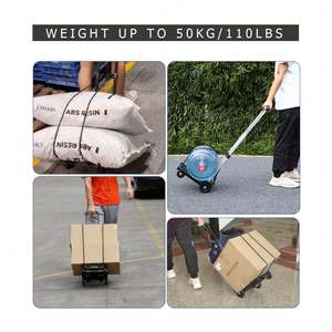 Tianyu Personal <b>Moving</b> Cart Plastic Mini <b>Trolley</b> Luggage Cart 50kg Load Capacity Model T819N in Stock - Product Image 4